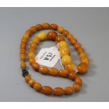 A graduated single row amber bead necklace, 61 cm length, 42g Holloway's do not guarantee amber as