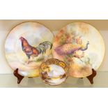 A pair of English porcelain cabinet plates by D.R.Budd, late 20th Century, finely painted with a