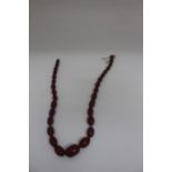 An Amber type bead single strand necklace, fitted with 31 graduated red coloured oval beads, AF to