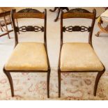 A set of five Regency style rosewood and simulated coromandel brass inlaid side chairs,