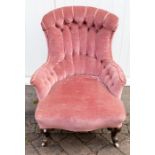 A Victorian mahogany framed upholstered low armchair, of button-back form in raspberry velour,