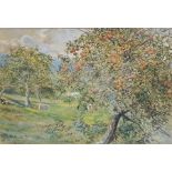 Tim Scott-Bolton (b. 1947), "Apple Orchard", watercolour, signed. 72 x 67cm (including a frame)