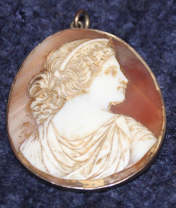 A 19th century cameo brooch, with carved shell profile bust viewed from behind, within white metal