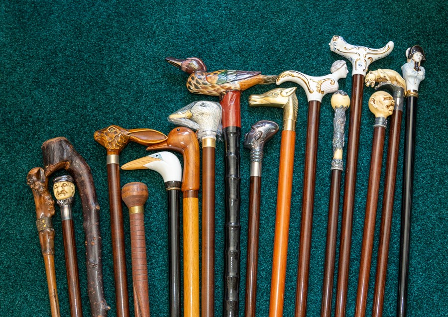 Seventeen assorted walking canes, various pommels to include animal heads, human heads etc (17)