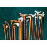 Seventeen assorted walking canes, various pommels to include animal heads, human heads etc (17)