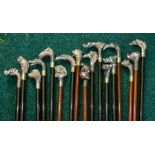 Seventeen assorted recent walking canes, plated animal head pommels, dogs, owls, eagles, swan etc (