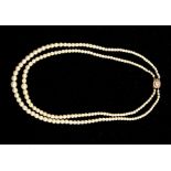 An eary 20th Century double strand graduated plain strung cultured pearl necklace with gold (