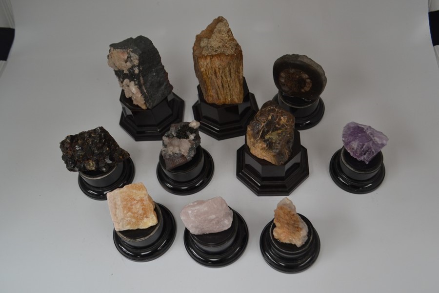 Geology interest; a collection of ten mounted fossil and mineral specimens - Image 2 of 2