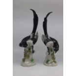 A pair of German porcelain figures of magpies, early 20th Century, modelled after Meissen with