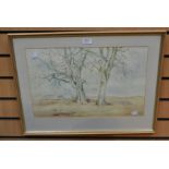 A late 20th Century watercolour 1982 by A Moorse, of a country scene, 32 x 50 cms approx