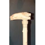 A 19th Century Meji period Ivory Walking cane, shafts into seven sections, hand carved of a Lion
