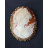 A large 9ct yellow gold carved shell cameo brooch of a muse