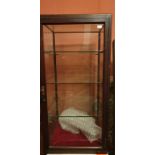 An Edwardian cube glass table top shop display cabinet, single door and glass shelves