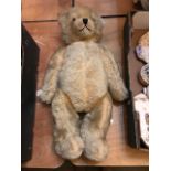 A large post-war English golden plush teddy bear, glass eyes, vertically stitched nose, growling