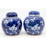 A pair of Chinese 19th Century blue and white cherry blossom ginger jars