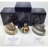 Royal Crown Derby: three paperweights including Black Swan, Platinum Black Swan and Carolina Duck.