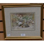 In the manner of William Cruikshank (1849-1922) Two dead goldcrests by prunus watercolour, 14 x