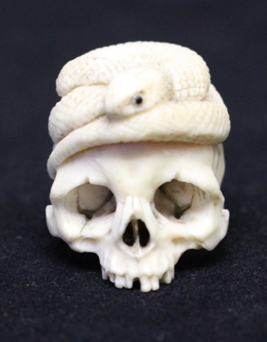 A Japanese ivory netsuke, Meiji period, modelled as a skull with a serpent curled on the top, 3cm.