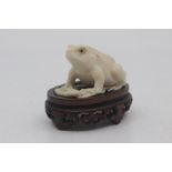 A Japanese carved ivory okimono of a frog, late Meiji period, modelled seated with its front feet on