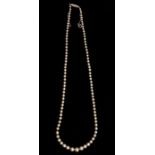A natural pearl single row necklace, comprising graduated round natural saltwater pearls, the