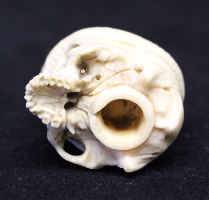 A Japanese ivory netsuke, Meiji period, modelled as a skull with a serpent curled on the top, 3cm. - Image 2 of 2