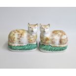 A Rare pair of Staffordshire Cats  recumbent on green cushion bases Date circa 1860 Size: 14cm