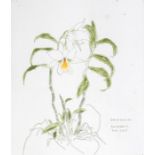 Dame Elizabeth Blackadder D.B.E. R.A. R.S.A. (Scottish, 1931), Orchid Fire Coral, signed l.r.,