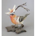 An Albany Fine China Co. ceramic bird study incorporating metal. Modelled as a Chaffinch. Factory