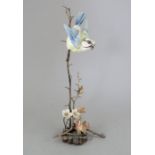 An Albany Fine China Co. ceramic bird study incorporating metal. Modelled as a Blue Tit. Factory