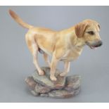 An Albany Fine China Co. Labrador modelled by Neil Campbell. Naturalistically decorated. Title and
