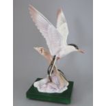 An Albany Fine China Co. ceramic bird study incorporating metal. Modelled as an Arctic Tern by David