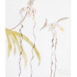 Dame Elizabeth Blackadder D.B.E. R.A. R.S.A. (Scottish, 1931), Orchid Sanderianum, signed l.r., No.