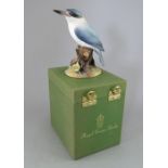 A Royal Crown Derby, Fine Bone China bird figure: Australian King Fisher. Including original hard-