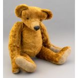 A golden plush teddy bear, straw filled, black glass eyes, with protruding snout with vertically
