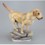 An Albany Fine China Co. Labrador modelled by Neil Campbell. Naturalistically decorated. Title and