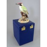 A Royal Crown Derby, Fine Bone China bird figure: Green Woodpecker. Including original hard-case.