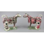 A handed pair of early nineteenth century pearlware cow creamers, c.1820. Both are decorated in pink
