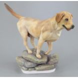 An Albany Fine China Co. Labrador modelled by Neil Campbell. Naturalistically decorated. Title and