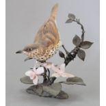 A Royal Worcester ceramic bird study incorporating metal. Modelled as a Thrush. Factory mark to