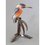 An Albany Fine China Co. ceramic bird study incorporating metal. Modelled as a Kingfisher. Factory