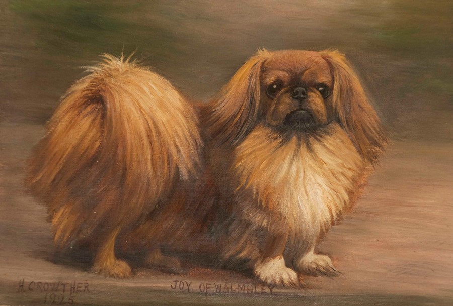 Henry Crowther (British, 1905-1939), Joy of Walmsley - a Pekingese, signed and dated 1925 l.l.,