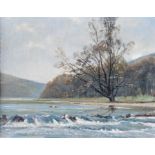 Terrence Storey (British, 1923), Trout Stream, signed l.r., titled on Royal Institute Galleries