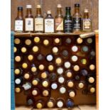 Approximately 79 rare whisky miniatures including Dalmore, Ardbeg, Cragganmore, Aberlour Glenlivet