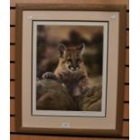 Johnathan R Gilkes, 2001, Young Mountain Lion, limited edition 113 of 500, certificate of