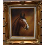 Oil on board, late 20th Century picture of a race horse, Baylady by Halbert RMS, in gilt frame