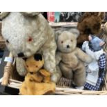 A collection of mid 20th Century plush toys, horse teddies and Sooty