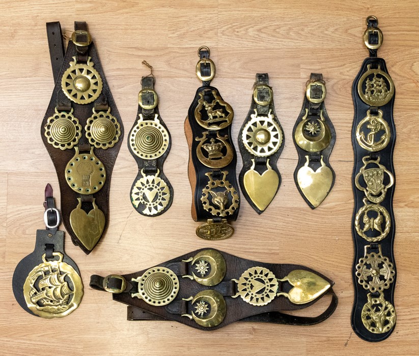A collection of horse brasses with various themes, including Cheddar Gorge and nautical items, all
