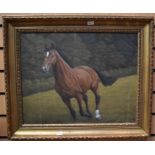 John Brian Evanson, 1983, oil of a horse on canvas, 50 x 40 cms approx
