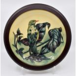 Moorcroft: A Moorcroft Collectors Club plate in a wooden surround. Bird design. Diameter approx