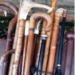 A collection of early 20th cent waling canes and crooks